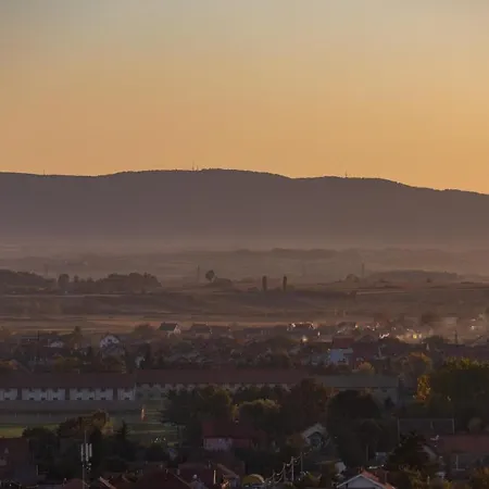 Kristall 2 Panorama Daire *